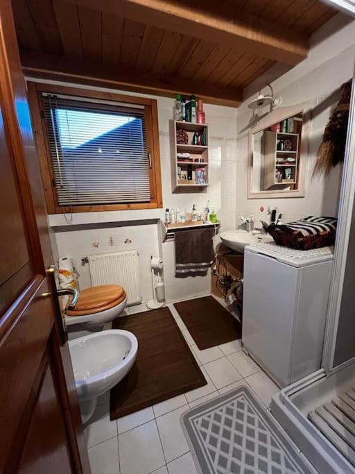 Apartmán "Fresia" Chalet Turistico A Fisto Spiazzo  Exteriér fotografie