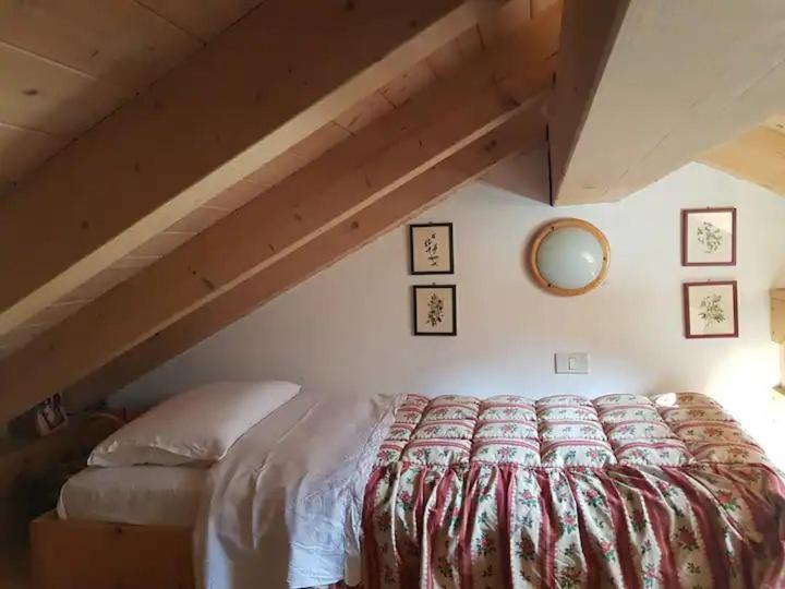 Apartmán "Fresia" Chalet Turistico A Fisto Spiazzo  Exteriér fotografie